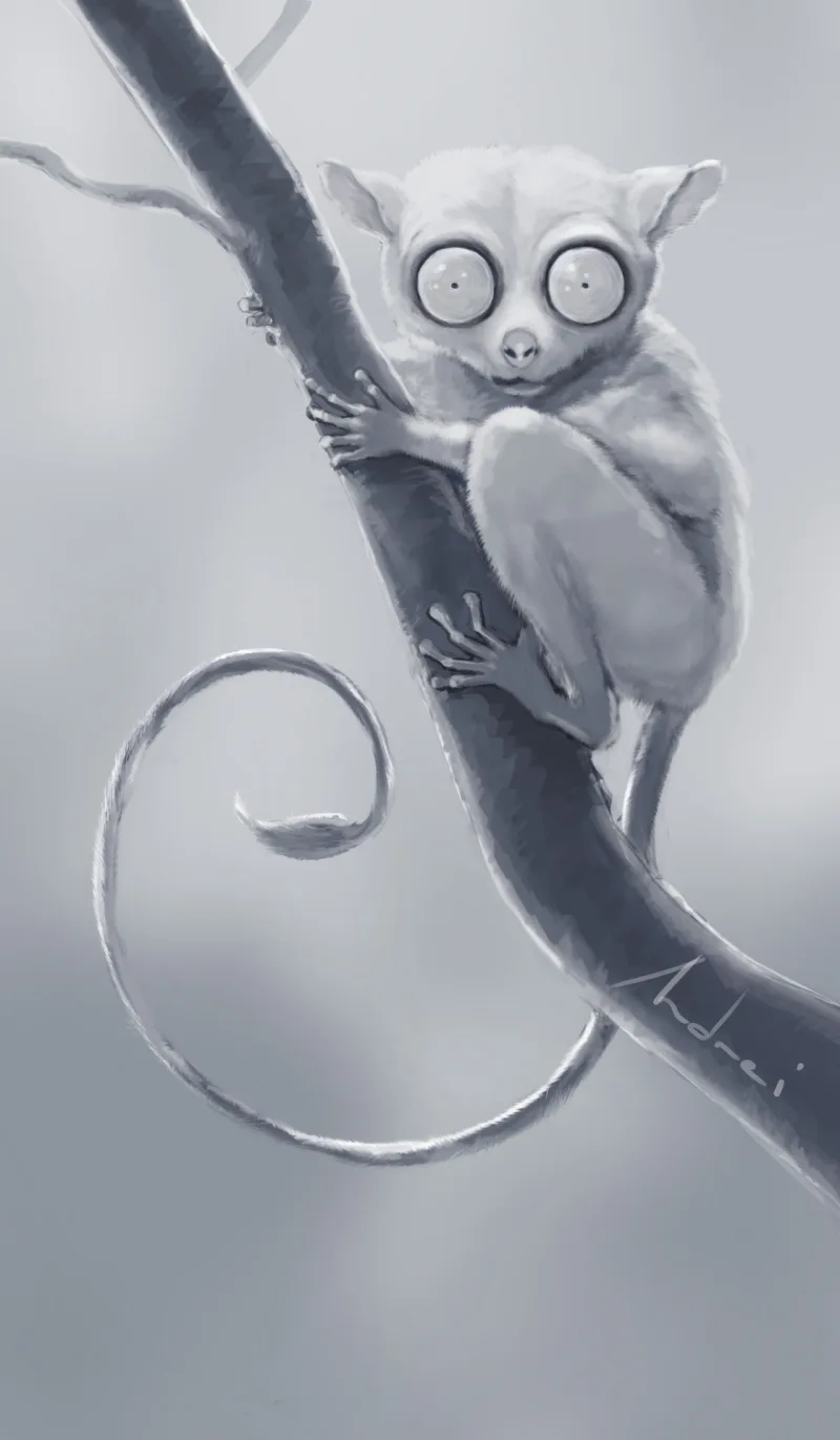 Illustration of a tarsier clinging to a branch